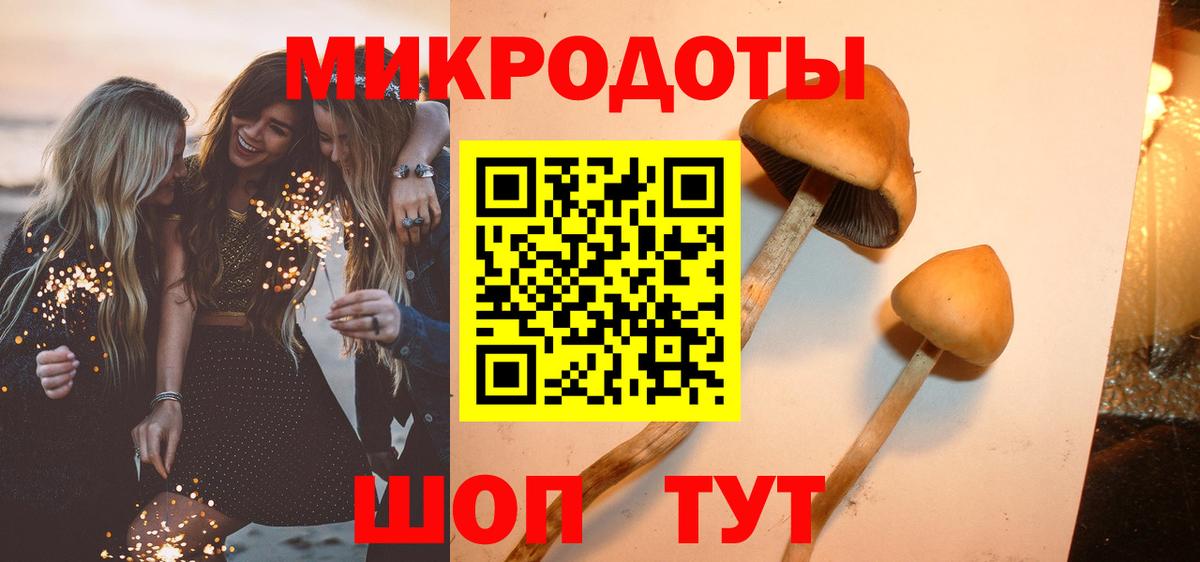 Псилоцибиновые грибы ЛСД  наркотики  Галлюциногенные грибы Cubensis  Малгобек  Вход с VPN 