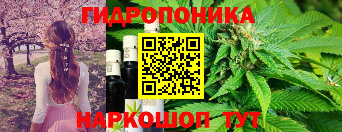 Шишки марихуана тримм  Вход с VPN  Шишки марихуана индика  Бошки Шишки конопля  МАРИХУАНА AK-47  Малгобек 